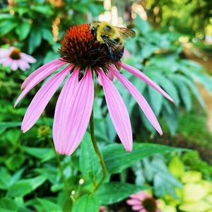 Meet your Posher, Yana